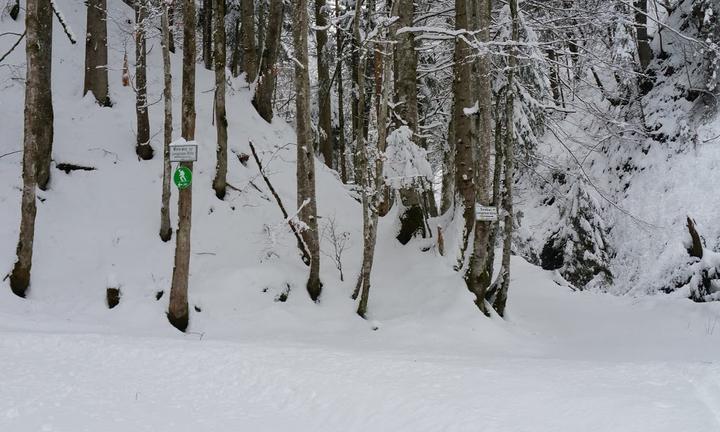 Lenggrieser Hütte